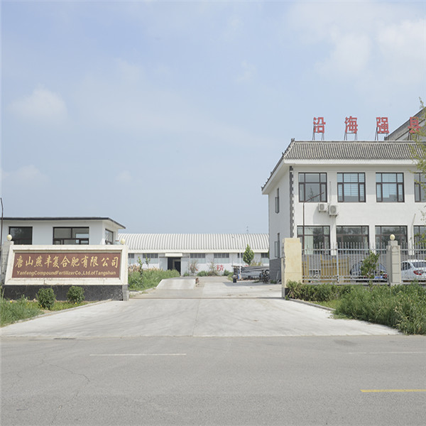 中华精英联盟复合肥厂区门口